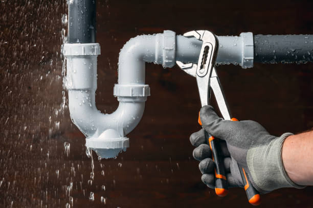 Professional Drain Cleaning technician working in Elfers, FL